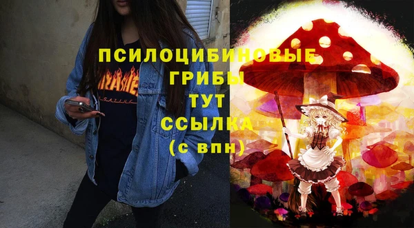 гидропоника Абаза