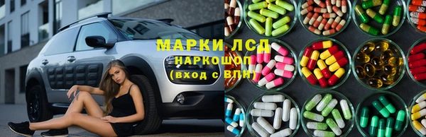 PSILOCYBIN Абдулино