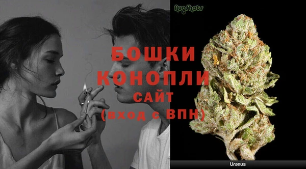 PSILOCYBIN Абдулино